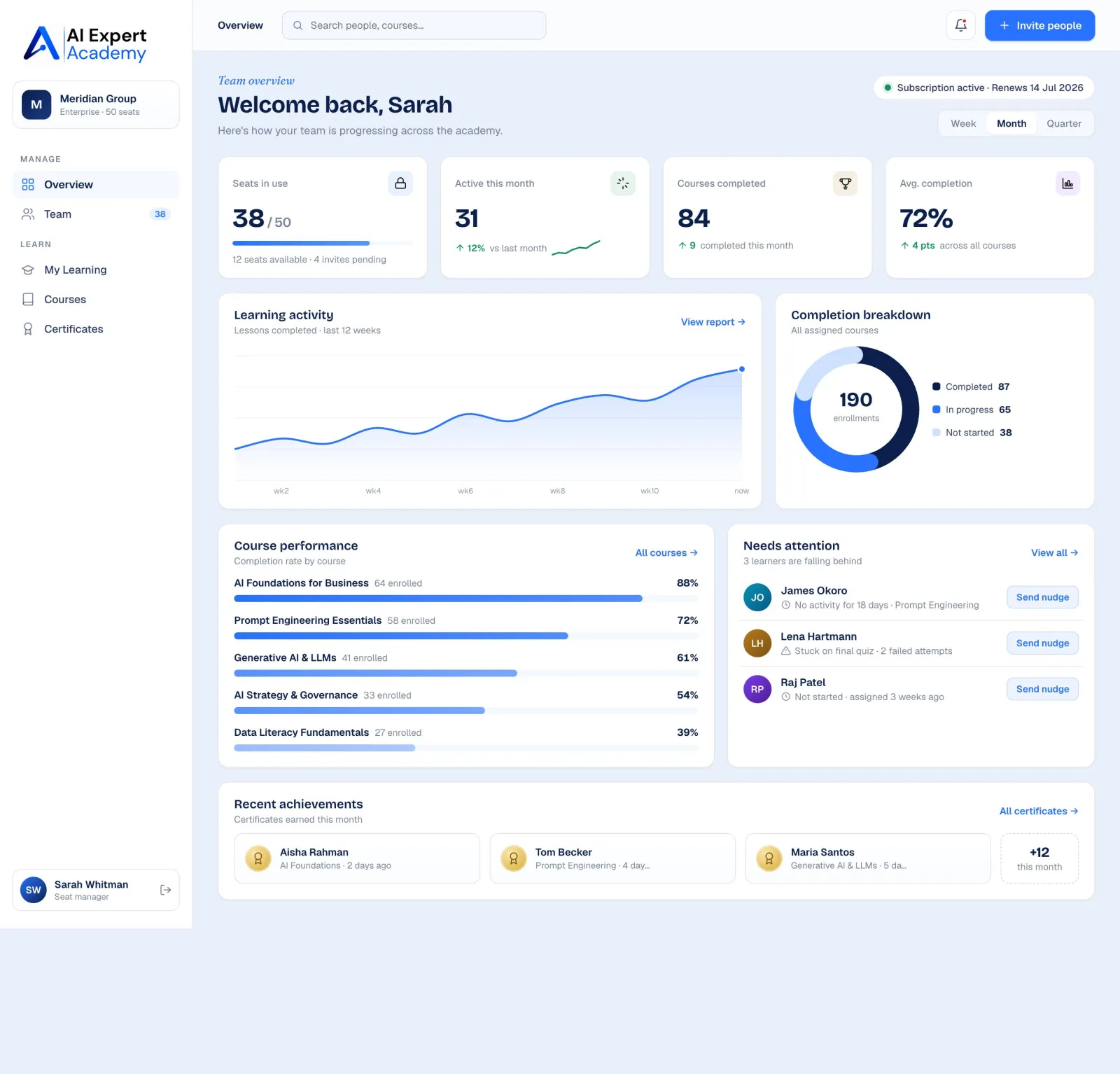 AI Expert Academy manager dashboard showing team learning progress